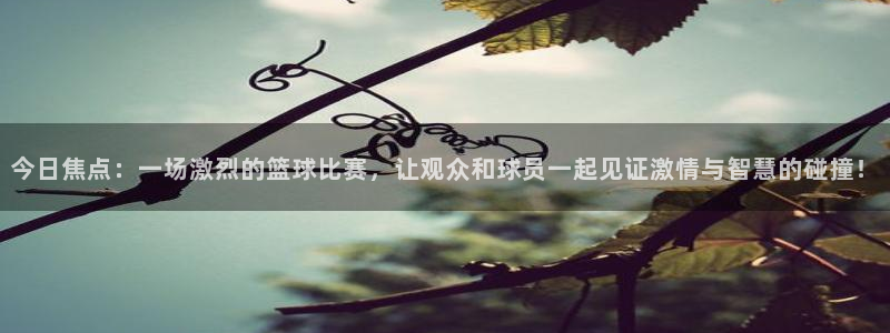 今日焦点：一场激烈的篮球比赛，让观众和球员一起见证激情与智慧的碰撞！