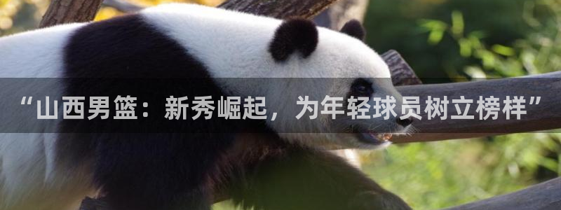 “山西男篮：新秀崛起，为年轻球员树立榜样”