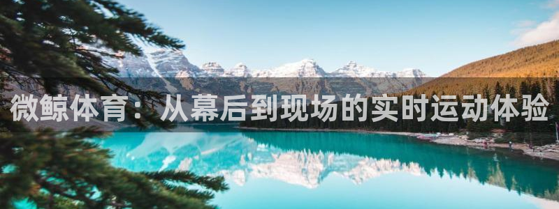 微鲸体育：从幕后到现场的实时运动体验