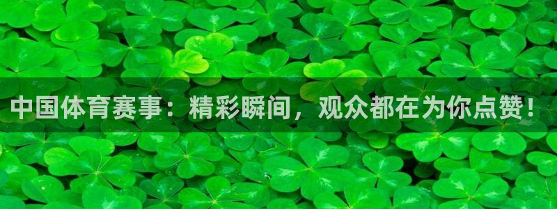 中国体育赛事：精彩瞬间，观众都在为你点赞！