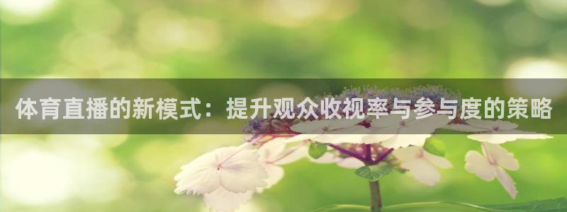 体育直播的新模式：提升观众收视率与参与度的策略