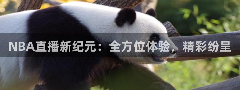NBA直播新纪元：全方位体验，精彩纷呈