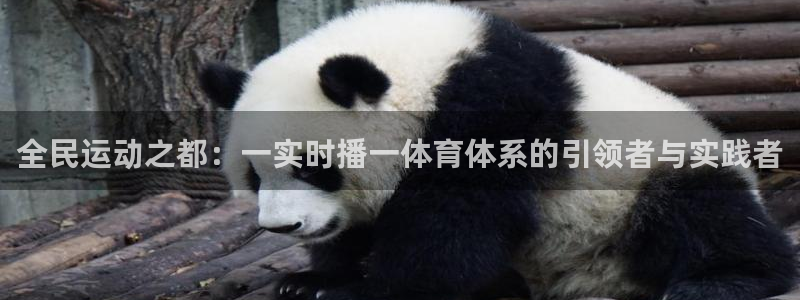 全民运动之都：一实时播一体育体系的引领者与实践者