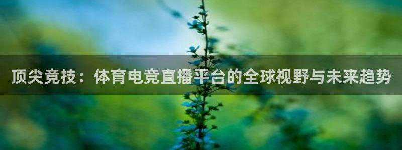 顶尖竞技：体育电竞直播平台的全球视野与未来趋势