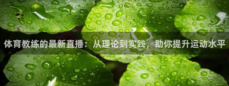 体育教练的最新直播：从理论到实践，助你提升运动水平