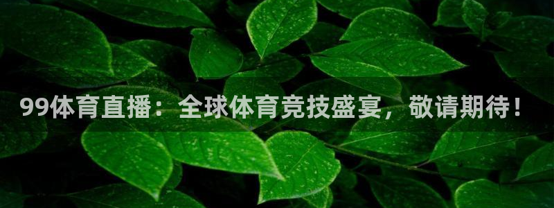 99体育直播：全球体育竞技盛宴，敬请期待！