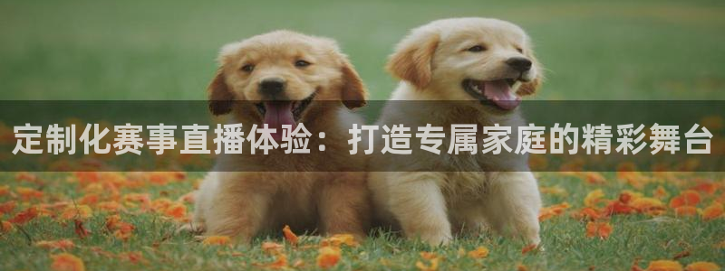 定制化赛事直播体验：打造专属家庭的精彩舞台