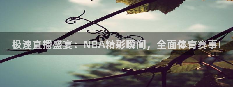 极速直播盛宴：NBA精彩瞬间，全面体育赛事!