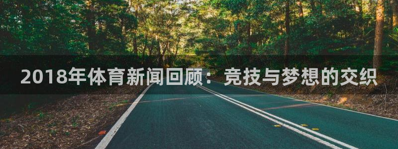 2018年体育新闻回顾：竞技与梦想的交织