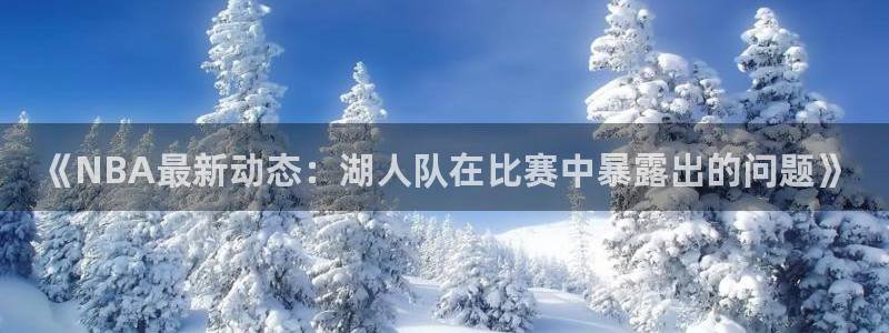 《NBA最新动态：湖人队在比赛中暴露出的问题》